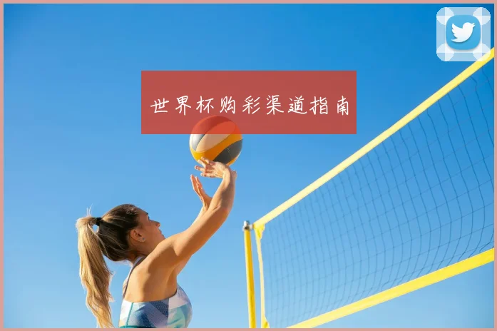 世界杯购彩渠道指南