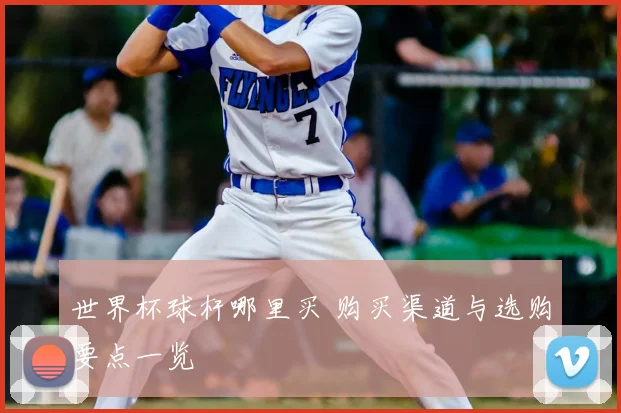 世界杯球杆哪里买 购买渠道与选购要点一览