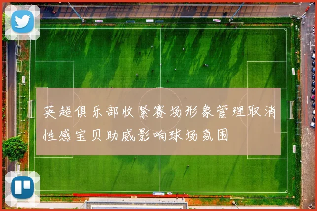 英超俱乐部收紧赛场形象管理取消性感宝贝助威影响球场氛围