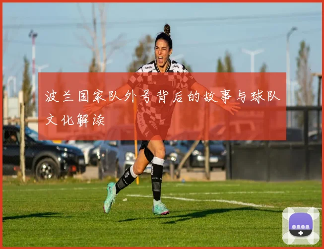 波兰国家队外号背后的故事与球队文化解读