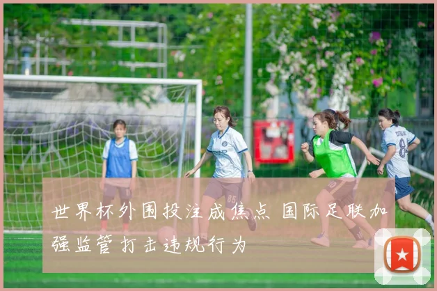 世界杯外围投注成焦点 国际足联加强监管打击违规行为
