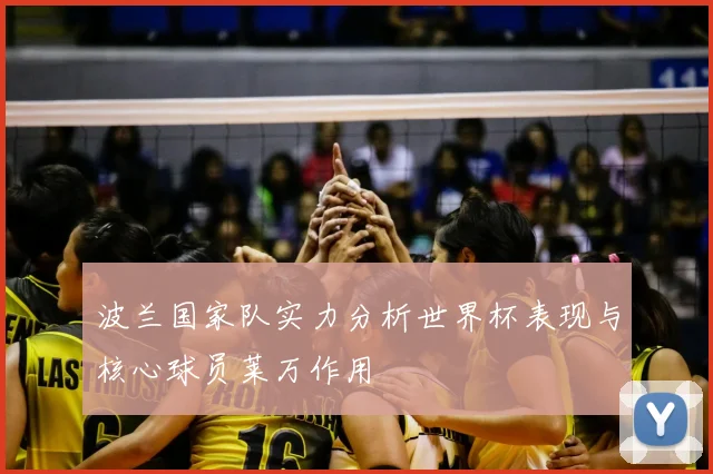 波兰国家队实力分析世界杯表现与核心球员莱万作用