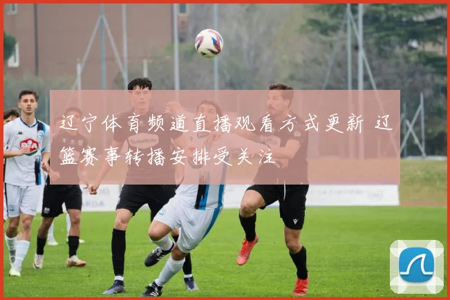 辽宁体育频道直播观看方式更新 辽篮赛事转播安排受关注