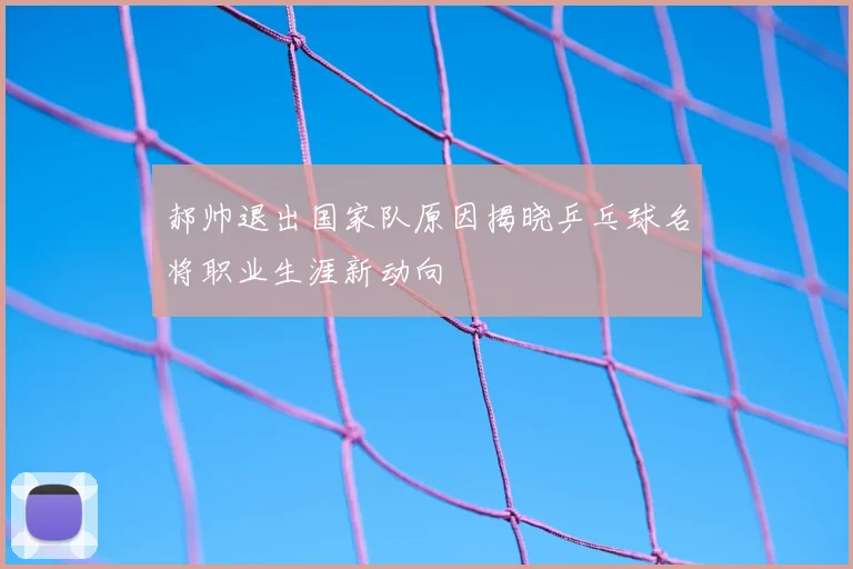 郝帅退出国家队原因揭晓乒乓球名将职业生涯新动向